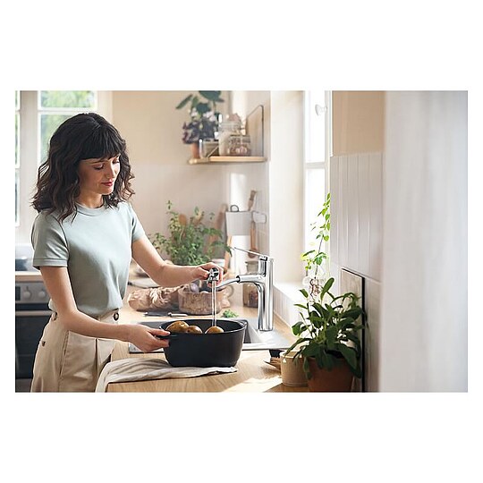 Bild 3 - Spültischmischer Hansgrohe Zesis 160 M33 - 74801000