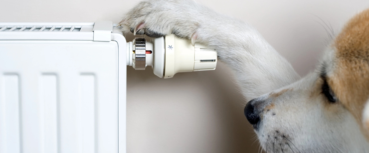 Heizkörper Thermostat richtig einstellen und programmieren
